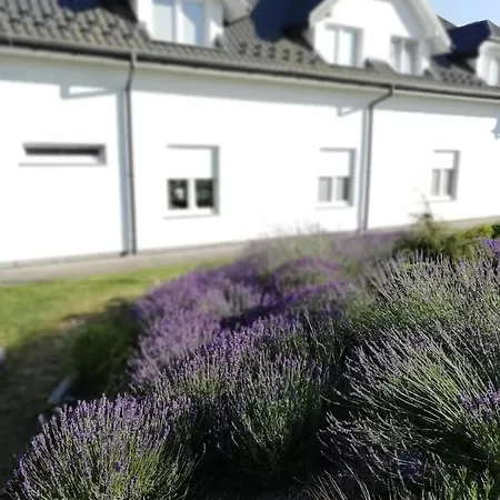 Ruda Sowa Проживание в семье