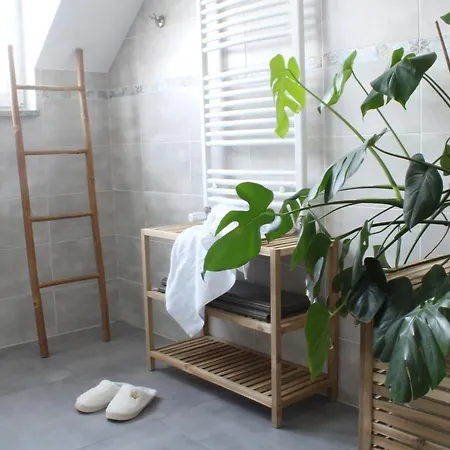 民宿 Ruda Sowa 新鲁达