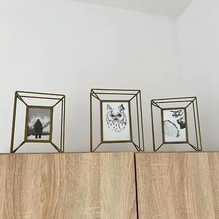 Ruda Sowa Проживание в семье