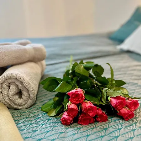 Ruda Sowa Нова-Руда