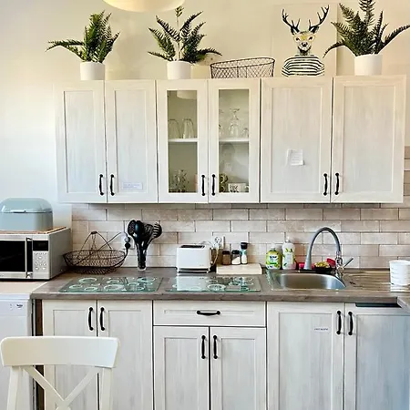 Ruda Sowa * 新鲁达