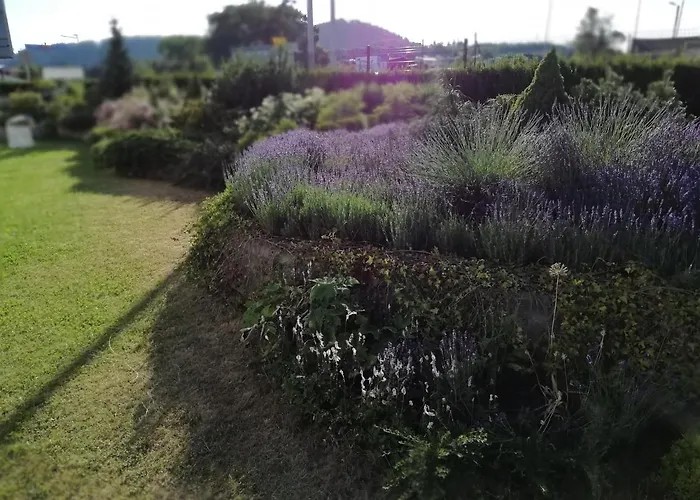 Ruda Sowa Homestay *