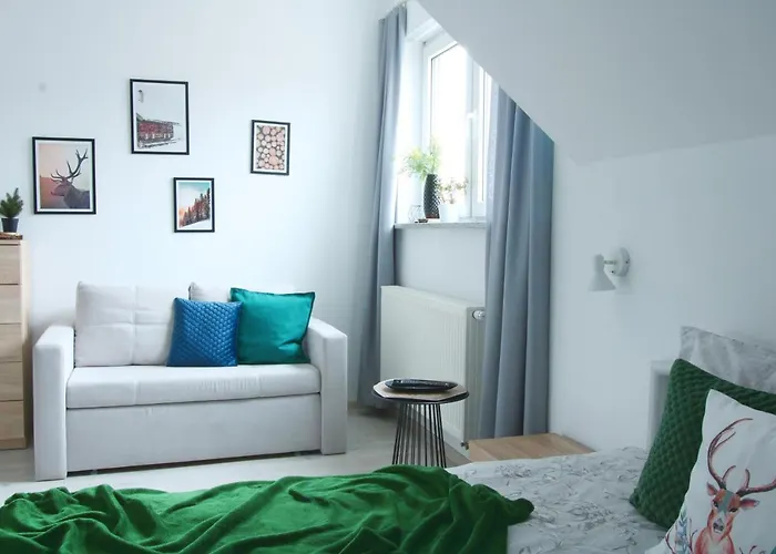 Ruda Sowa Homestay *