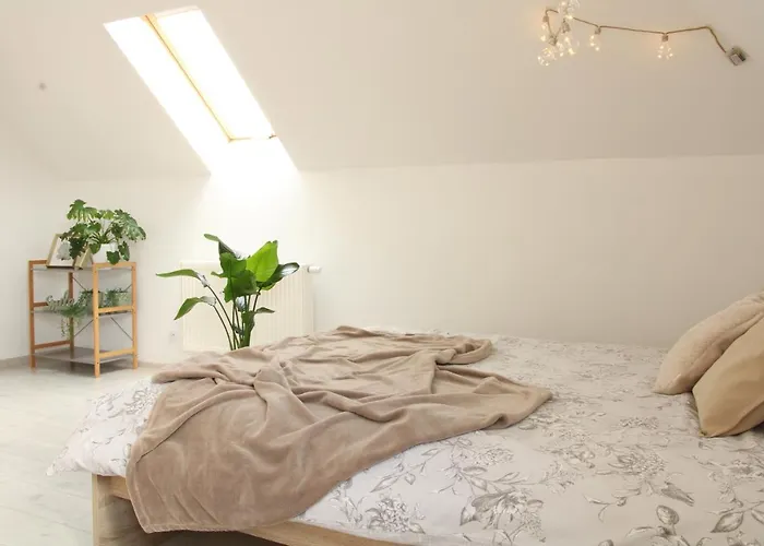 Ruda Sowa Homestay Nowa Ruda